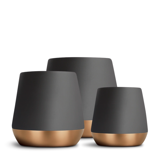 Joey Double Wall Ceramic Mugs - Joey Double Wall Ceramic Mugs - Matte White / Joey 8 oz | Fellow