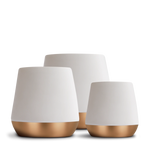 Joey Double Wall Ceramic Mugs - Joey Double Wall Ceramic Mugs - Matte White / Joey 8 oz | Fellow