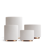 Monty Milk Art Cups - Monty Milk Art Cups - Matte White / Demitasse 3.0 oz / Set of 2 | Fellow