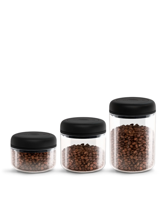 Fellow Atmos Vacuum Canister 3 Pack stores coffee beans in clear jars with black lids.